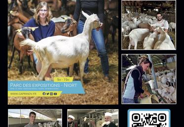 Une Capr'inov 2021, Deux-Sèvres, Nouvelle-Aquitaine, Salon de la chèvre