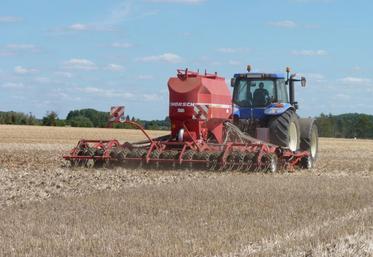 Objectif en Poitou-Charentes : obtenir une levée de colza début septembre et atteindre le stade 4 feuilles supportant les attaques d’altises et de limaces.