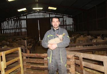 Son succès aux Ovinpiades a donné envie à Valentin Pinault de développer l’atelier ovin sur l’exploitation familiale.