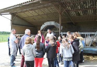 Des élèves de sixième du collège de Gémozac sont venus une matinée sur l'exploitation de Sébastien Mittard.