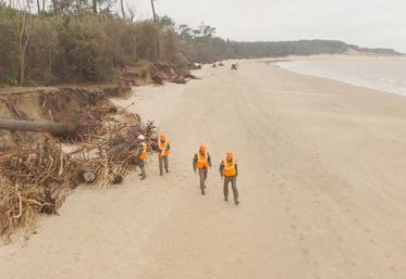 Les travaux visent à sécuriser les massifs dunaires face à l'érosion constatée.