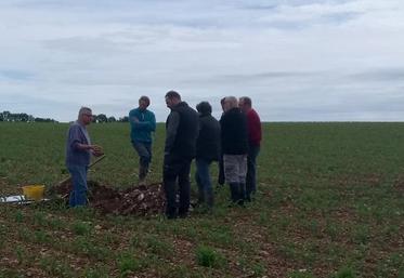Lecture d'un profil de sols par un spécialiste – Source CA17