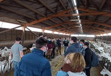 Forum installation, Deux-Sèvres, Agriculture