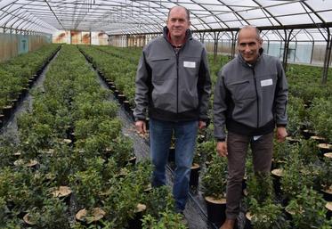 Jean-Marc Daganaud et Christian Mesmin ont mis en place des techniques alternatives pour réduire l’utilisation de produits phytosanitaires et favoriser le respect de l’environnement.