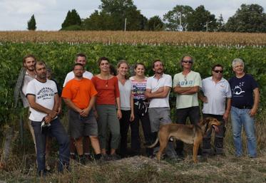 Journée de prospection collective, jeudi 5 septembre, chez Eric Berthonnaud, à Germignac.