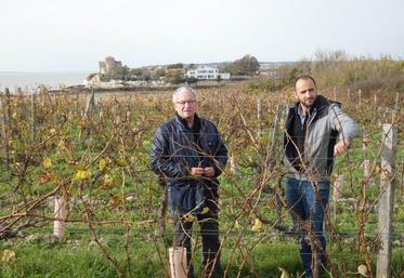 Jean-Jacques Vallée et Lionel Gardrat, deux des trois associés des Hauts de Talmont, au milieu des rangs de vigne du domaine. Une parcelle avec une vue imprenable sur le village de Talmont-sur-Gironde (où le domaine a sa boutique) et sur l’estuaire.