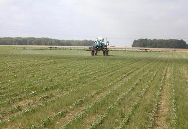 Gagner du temps en traitant ses cultures avec des volumes réduits de bouillie, c’est possible… à condition de bien régler son matériel et d’intervenir au bon moment.