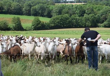Images de cartes postales en Charente Limousine. De quoi séduire de futurs repreneurs d’exploitation ?