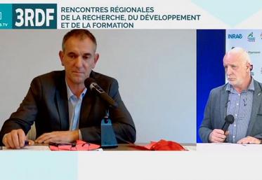 Les deux élus de la Chambre régionale d’agriculture référents du plan protéique : à gauche, Christian Daniau (Charente) et Guy Estrade (Pyrénées-Atlantiques).