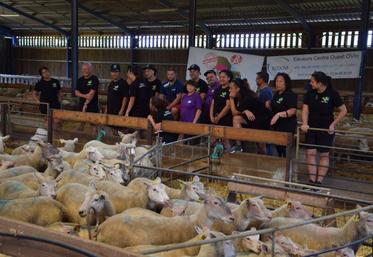 Le groupe néo-zélandais Whitireia performing arts a visité l’élevage ovins de la famille Mazouin à Chasseneuil-sur-Bonnieure.