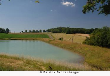 Bassin de sédimentation et retenue d'eau.