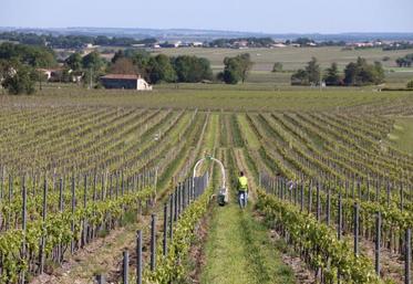 Les attentes sont fortes sur la qualité finale du produit.