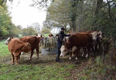 Pierre-Antoine Raimbourg a misé sur une race rustique pour un élevage au maximum en herbe.