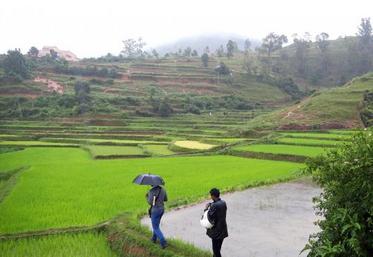 À Madagascar, près de 400 000 jeunes intègrent chaque année le secteur agricole.