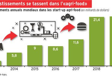Les investissements se tassent dans l’« agri-food »