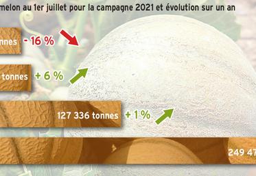 Production de melons en baisse, Deux-Sèvres, 2021