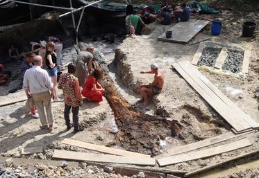 La découverte est exceptionnelle par sa taille et par sa conservation. Le tronc âgé de 140 millions d’années approche les 15 mètres.