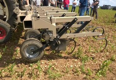 Désherbage mécanique, Deux-Sèvres, agriculture