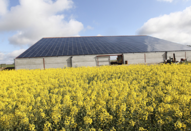 Champ de colza et bâtiment avec des panneaux photovoltaïques.