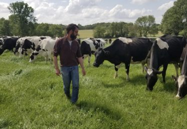 Grégoire Métais, à Pamplie, qui a misé sur le pâturage pour son troupeau.