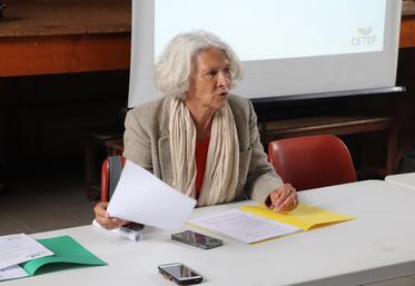 Isabelle Leydier-Delavallade, présidente du Cetef.