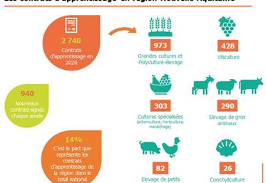 Contrats d'apprentissage en Nouvelle-Aquitaine, formation, agriculture, Deux-Sèvres