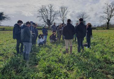 Étudiants, partenaires et agriculteurs ont participé à trois ateliers : couverts végétaux, fosse pédologique, semis direct et techniques de destruction.