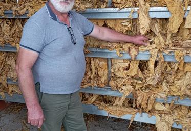 Jean-Philippe Pillet a investi en 2010 dans un séchoir à bois, indispensable pour sa production de tabac mais qui lui permet également de sécher de la luzerne depuis quelques années.