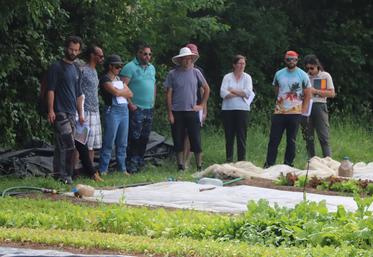 À Marsac, Fabienne et Dan Alligan sont au cœur d’un mini-village bio, entouré d’autres exploitants également en agriculture biologique.