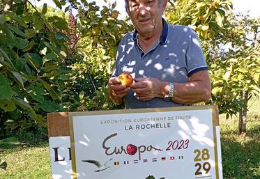 Guy Jouinot, président de l'association des Croqueurs de pommes Aunis Saintonge, prépare activement Europom.