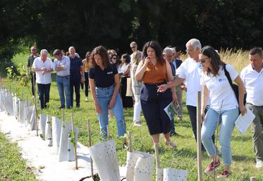 Les plants sont essentiellement des essences locales prévues pour résister aux inondations des prairies en bord de Charente et au changement climatique.