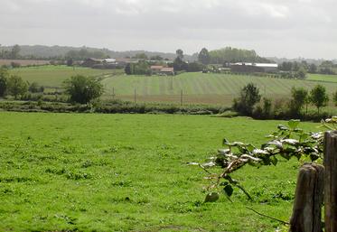 Deux-Sèvres, Nouvelle Aquitaine, paysage, haies, exploitation agricole