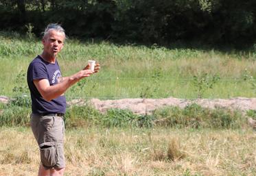 Julien Maulévrier, éleveur des "Salers du Masmayoux" à Alloue, a présenté ses parcelles agroforestières