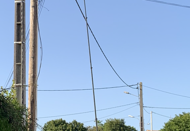 Les techniciens de la Fredon Charente-Maritime interviennent jusqu'à 18 m de hauteur contre les nids de frelons.