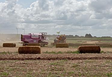 Les courses de moissonneuses-batteuses cross' ont été l'une des principales animations du week-end.