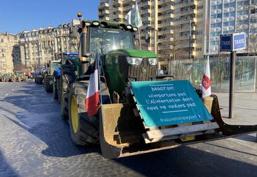 Les deux syndicats s'inscrivent dans la continuité de la mobilisation nationale du 8 février (ci-dessus, les rassemblements de tracteurs à Paris), mais y ajoutent des revendications portant sur la politique agricole régionale.