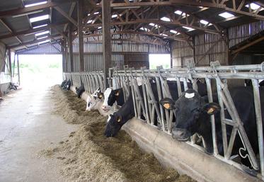 Parmi les principaux facteurs expliquant les écarts de rentabilité entre exploitations laitières, la présence ou non de mécanisation ou l’efficacité de la salle de traite. 