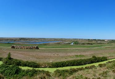 Le marais littoral vu depuis la citadelle de Brouage.