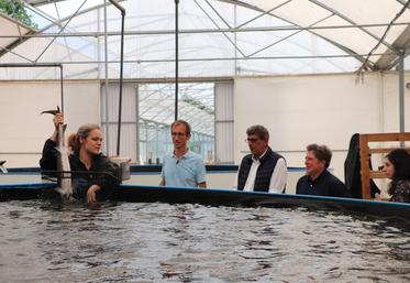 Avec l’aquaponie, l’association de la pisciculture du maraîchage et des bactéries en circuit fermé permet de réduire considérablement la consommation d’eau et les rejets.