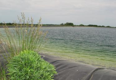  Les mesures préfectorales visent à éviter des débordements qui pourraient se traduire par de nouvelles destructions de réserves (ici le bassin de la Clouère, affluent du Clain, sur la commune de Marnay dans la Vienne).