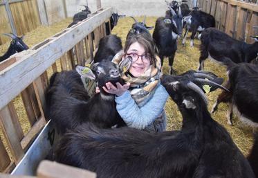 Ophélie Michelet Chèvres