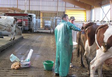 La Nouvelle-Aquitaine a perdu en cinq ans près de 20 % de ses vétérinaires spécialisés en animaux de rente, selon le sénateur Christian Redon-Sarrazy.