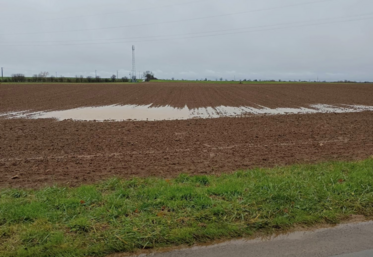 Au vu de la pluviométrie (1000 mm annuels dépassés en Deux-Sèvres la semaine dernière), nombreux sont les assolements qui n'ont pas pu être mis en œuvre comme prévu.