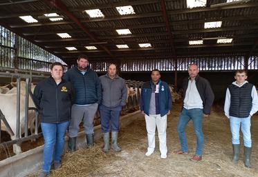 Éleveurs, boucher, fabricant d'aliment, coopérative travaillent ensemble pour réduire les coûts d'alimentation tout en proposant une viande de qualité.