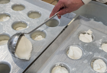 Les employés, les outils et savoir-faire seront maintenus, certifient les présidents des différentes coopératives.