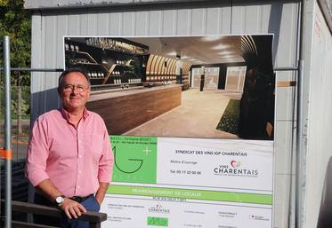Thierry Jullion, président du Syndicat des Vins IGP Charentais, devant le croquis du futur accueil de la Maison des Vins Charentais, en octobre dernier.