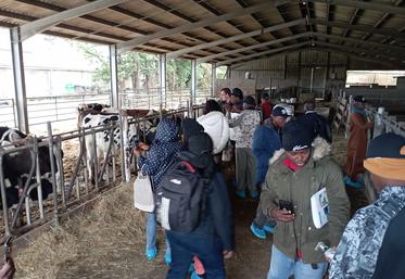 La gestion de l'exploitation laitière fait partie des sujets qui ont intéressé les douze visiteurs nigérians.