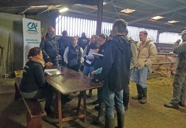 Les groupes d'élèves ont fait le tour des sept partenaires présents sur l'exploitation de Guillaume Audurier pour construire un scénario de reprise cohérent.