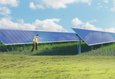 Le projet de Corme-Royal devrait occuper une superficie de 26 ha (Illustration).