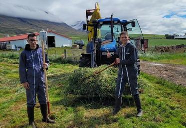 En 2022, Ilane et Clément sont partis en stage pendant
trois semaines en Islande, dans une exploitation laitière.